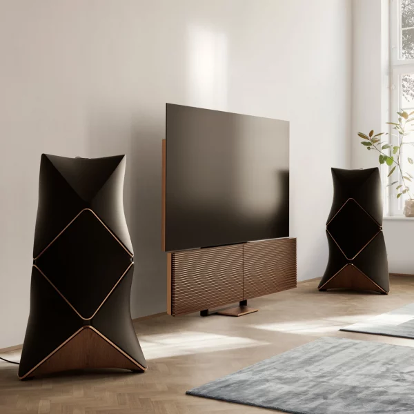 Bang & Olufsen Beovision Harmony - Image 7